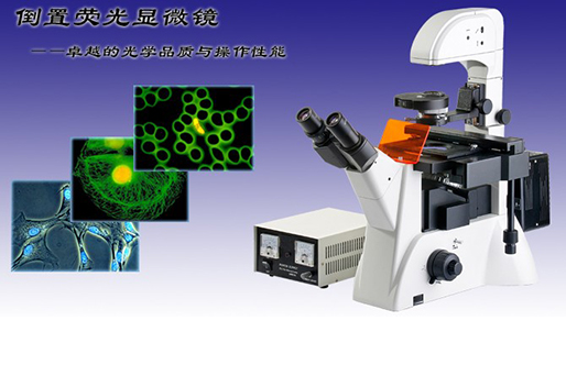 MDS-2倒置荧光显微镜